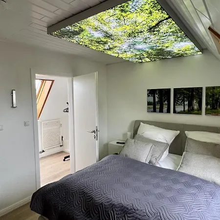 Lichtermeer 3 0 * 达默